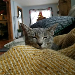 Meet your Posher, Denya